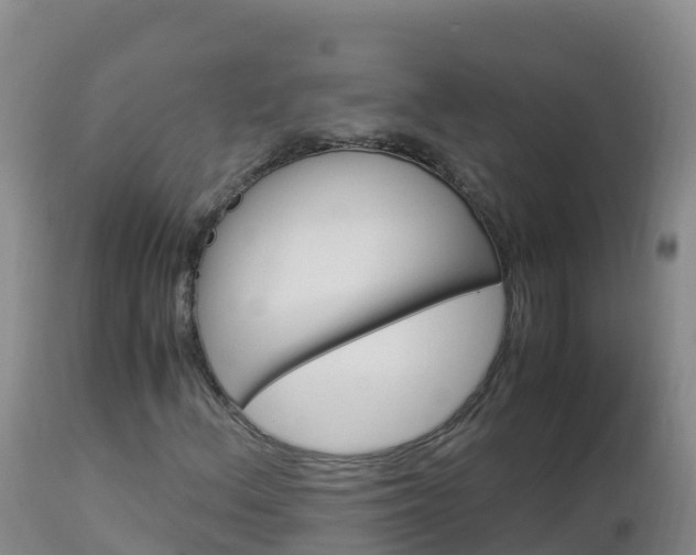 X0000112901156200908281718