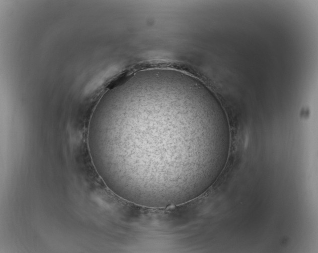 X0000112901157200908281718