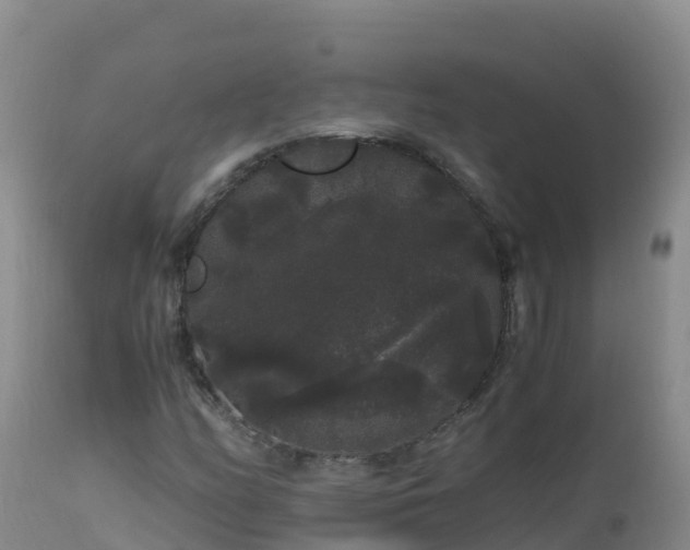 X0000112901158200908281718