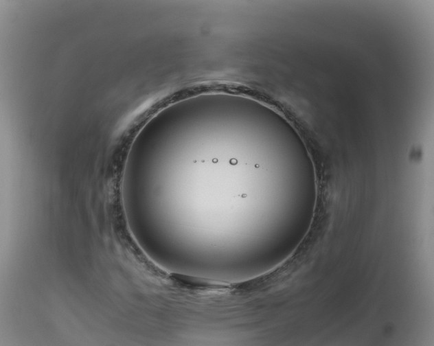 X0000112901159200908281718