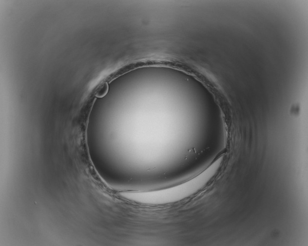 X0000112901160200908281718