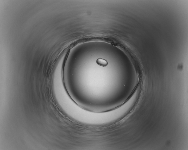 X0000112901161200908281718