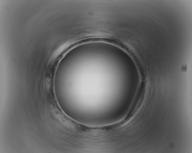 X0000112901163200908281718