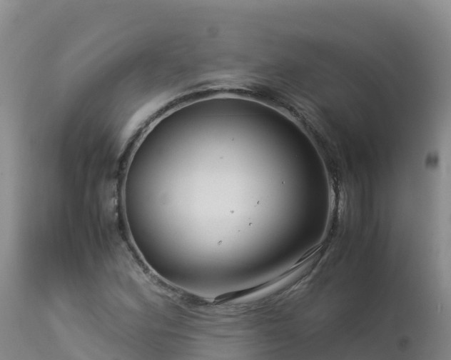 X0000112901164200908281718