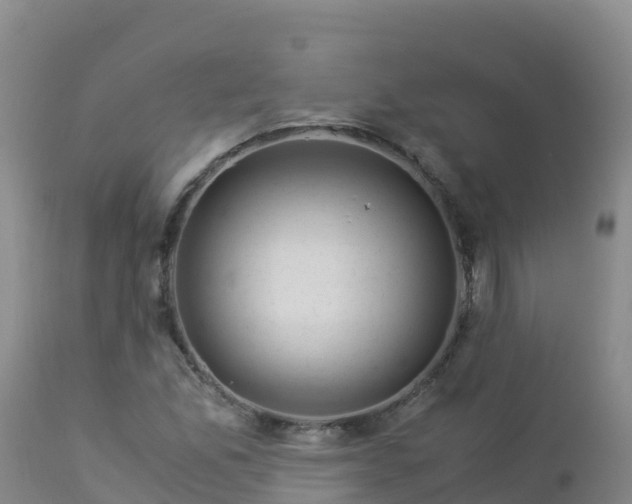 X0000112901165200908281718