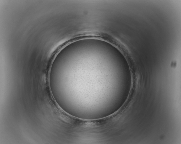 X0000112901166200908281718