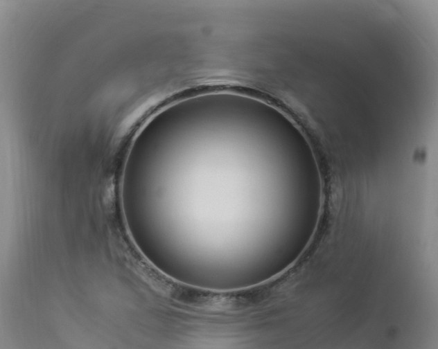 X0000112901167200908281718