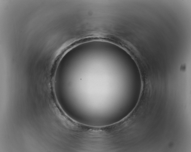 X0000112901168200908281718