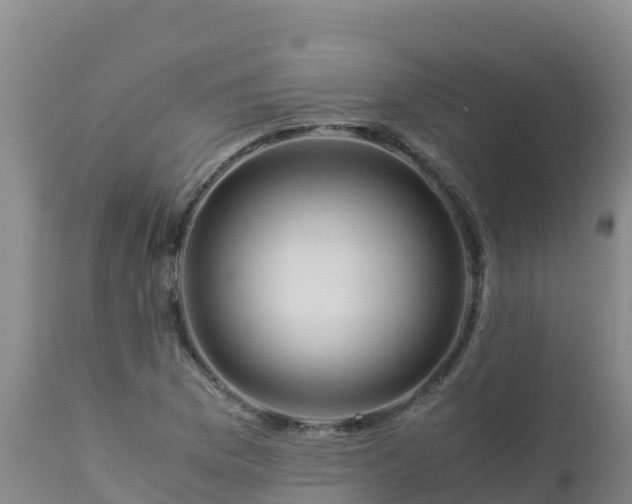 X0000112901169200908281718