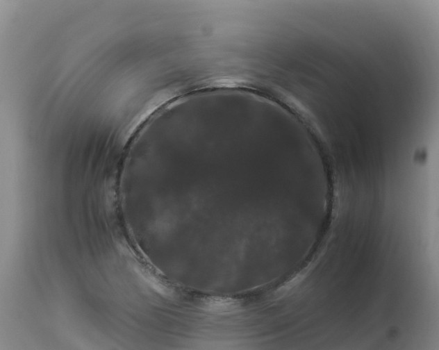 X0000112901170200908281718