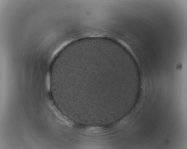 X0000112901171200908281718