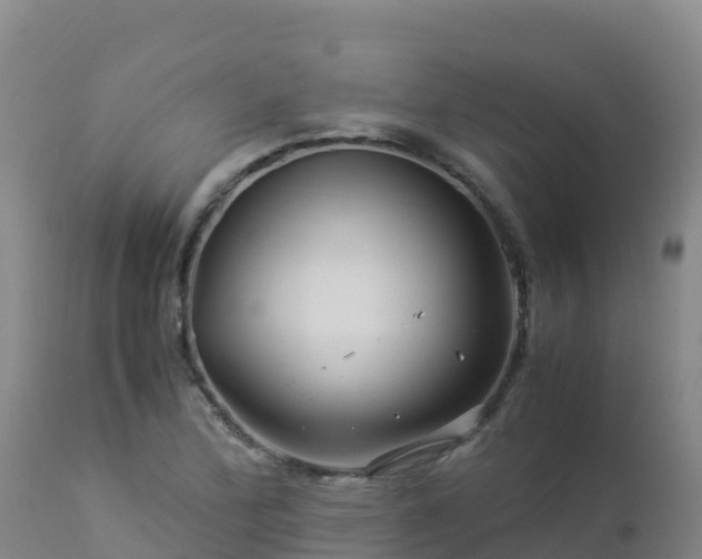 X0000112901172200908281718