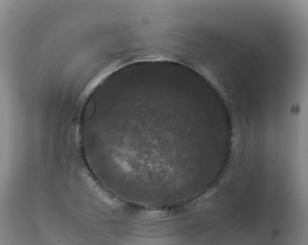 X0000112901173200908281718