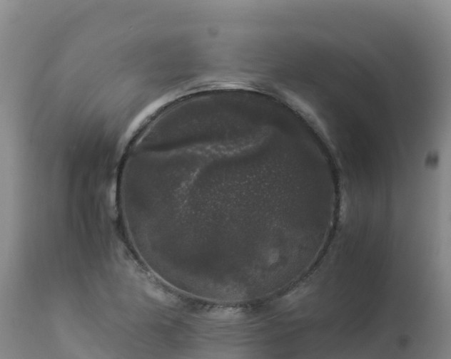 X0000112901174200908281717