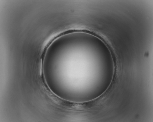 X0000112901175200908281717