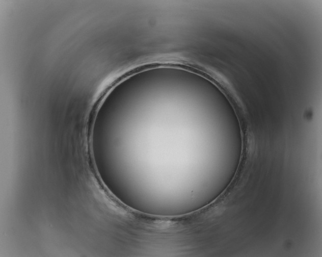 X0000112901176200908281717