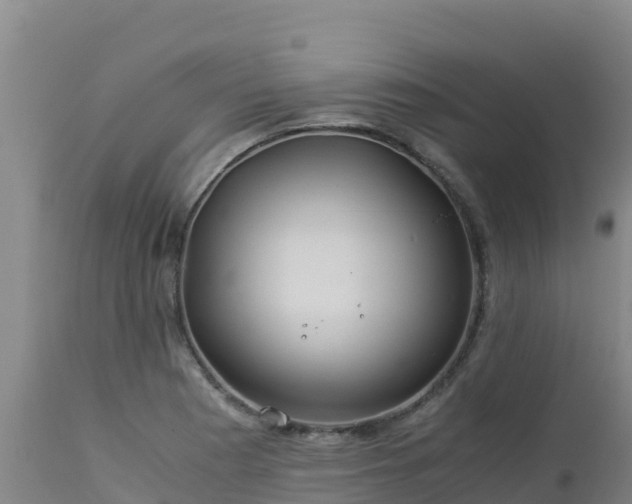 X0000112901177200908281717