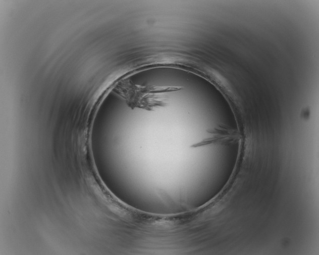 X0000112901178200908281717