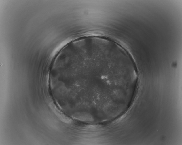 X0000112901179200908281717