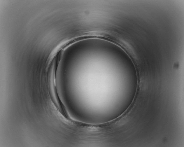 X0000112901180200908281717