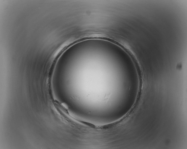 X0000112901181200908281717