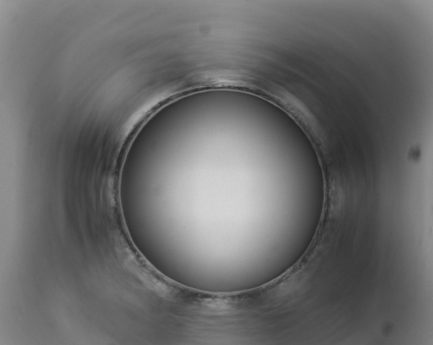 X0000112901182200908281717