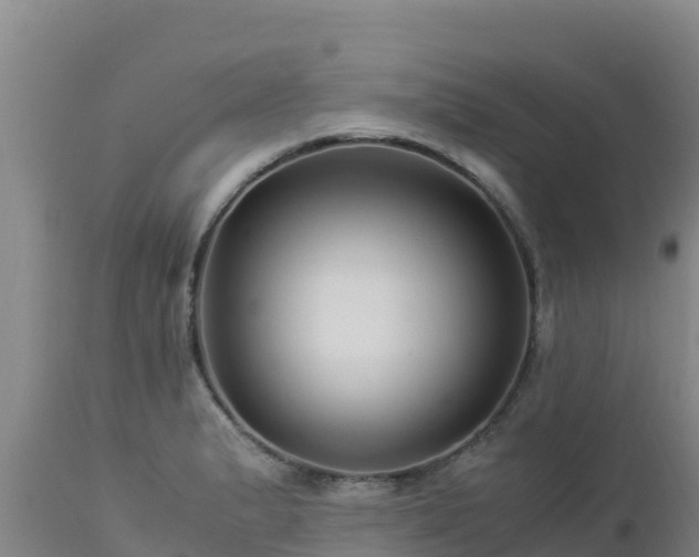 X0000112901183200908281717