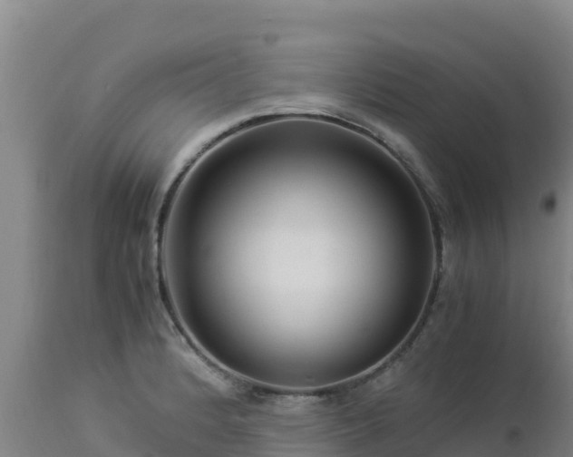 X0000112901184200908281717