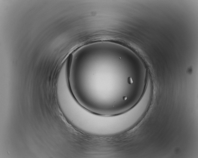 X0000112901185200908281717