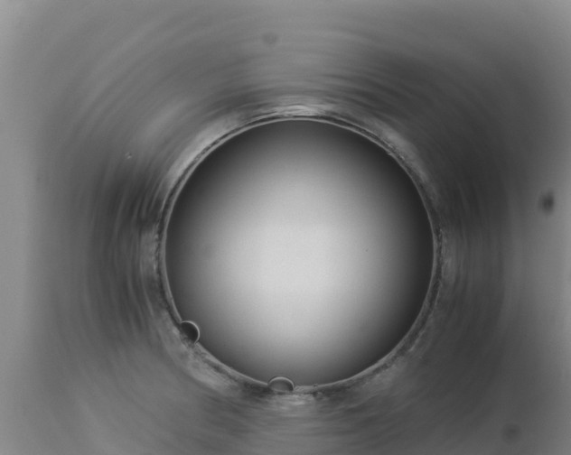 X0000112901186200908281717