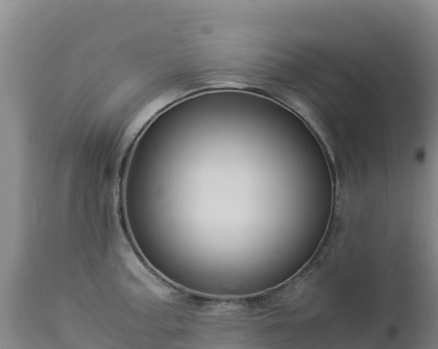 X0000112901187200908281717