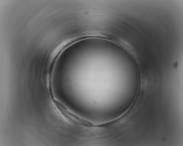 X0000112901188200908281717