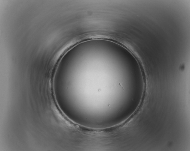 X0000112901189200908281717