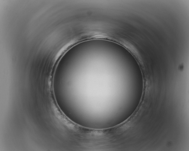 X0000112901190200908281717