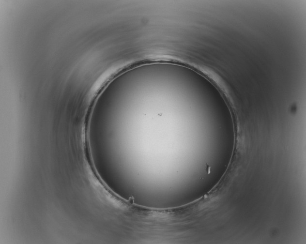 X0000112901191200908281717