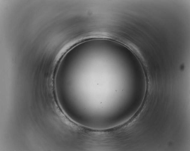 X0000112901192200908281717