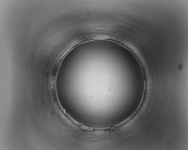 X0000112901193200908281717