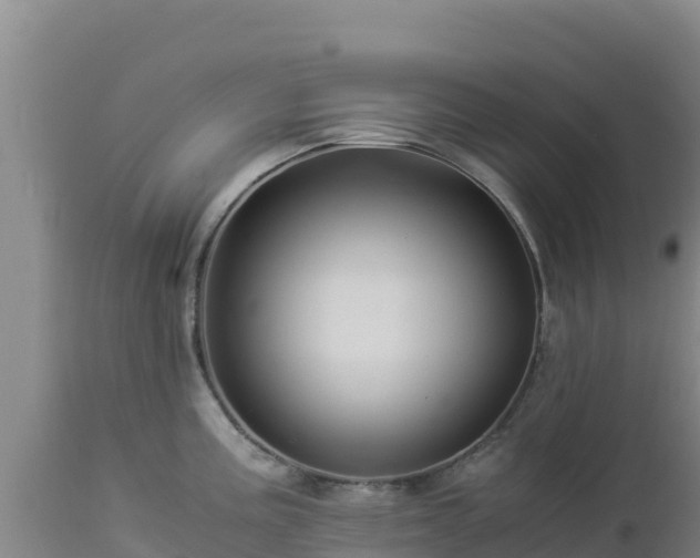 X0000112901195200908281717