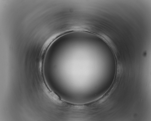 X0000112901196200908281717