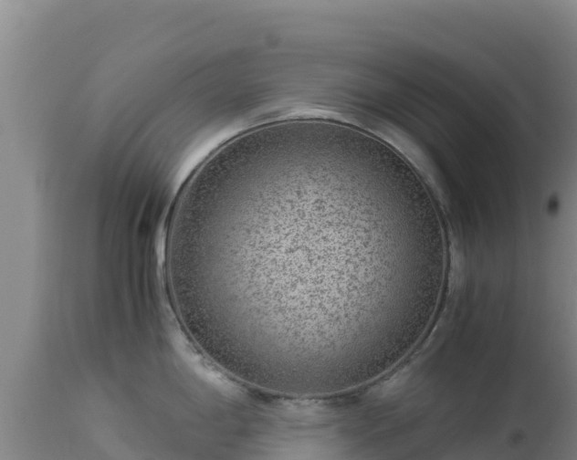 X0000112901198200908281717