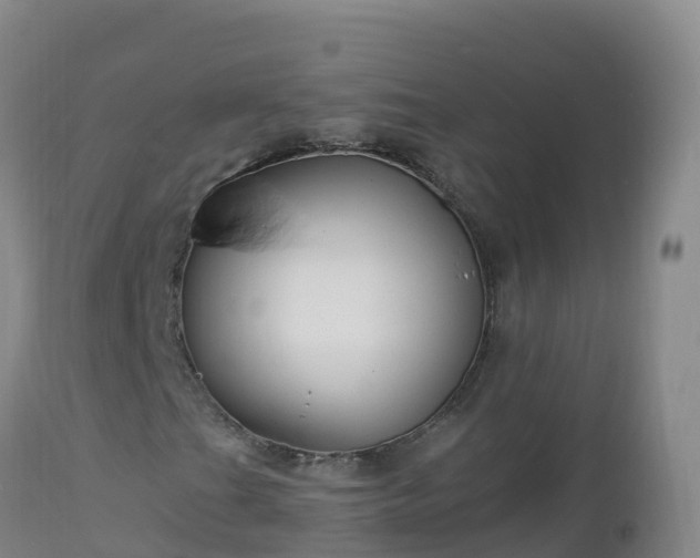 X0000112901201200908281716