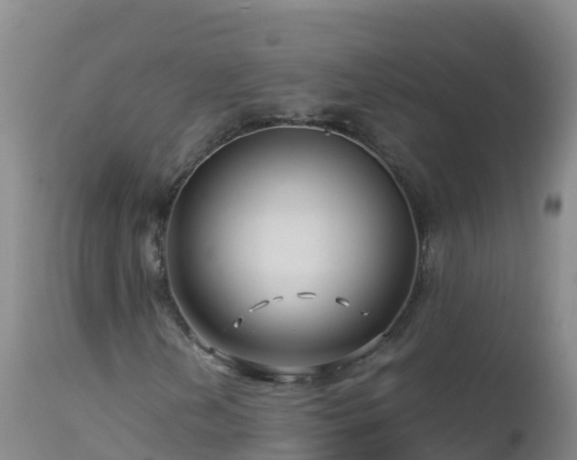 X0000112901202200908281716