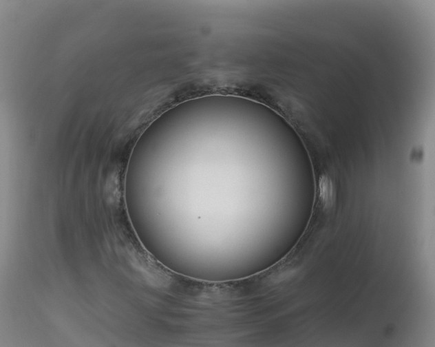 X0000112901203200908281716