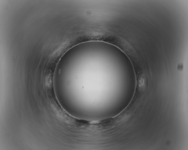 X0000112901204200908281716