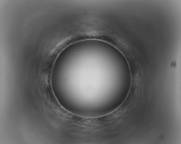 X0000112901205200908281716