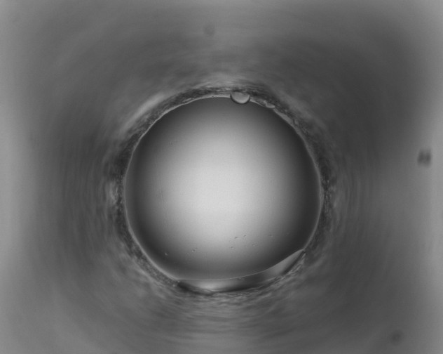 X0000112901206200908281716