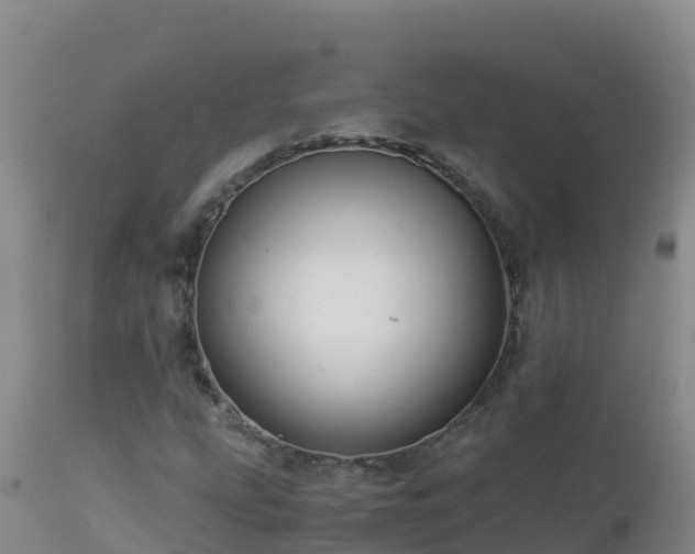 X0000112901207200908281716