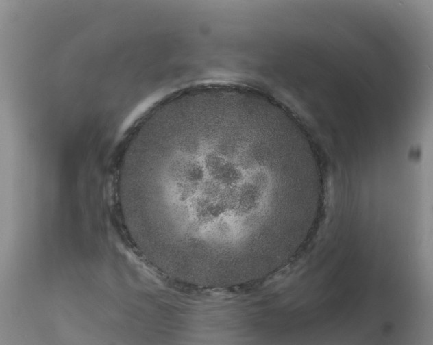 X0000112901208200908281716