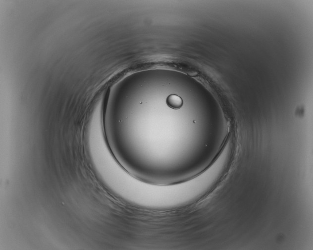 X0000112901209200908281716