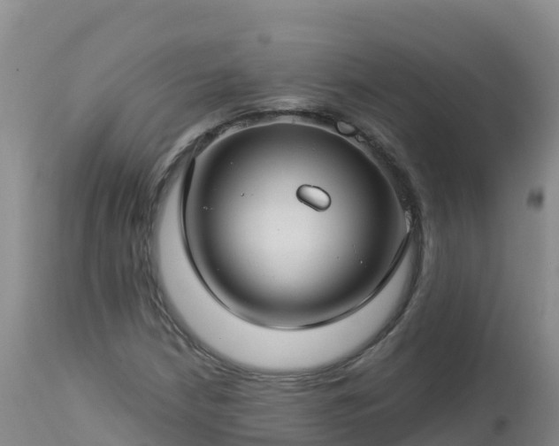 X0000112901210200908281716